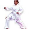 Taekwondo Silver-0